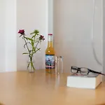 Vogelsang Appartamento Sankt Märgen