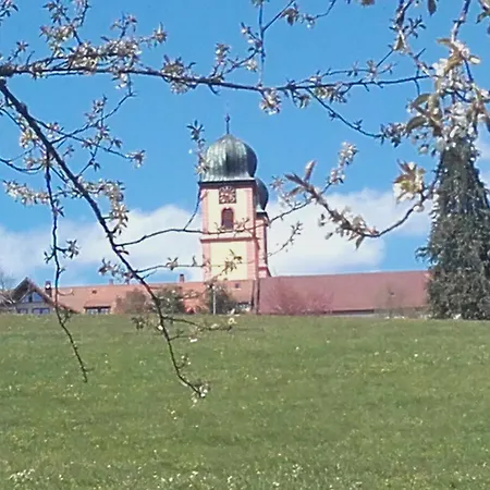 Apartment Vogelsang
