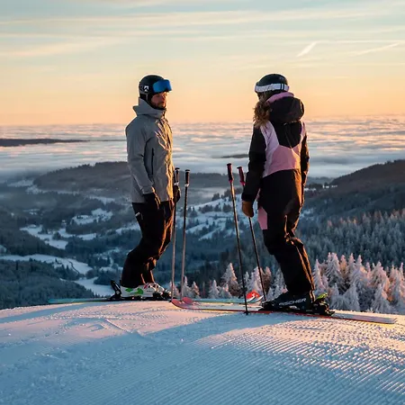 Vogelsang Apartament *