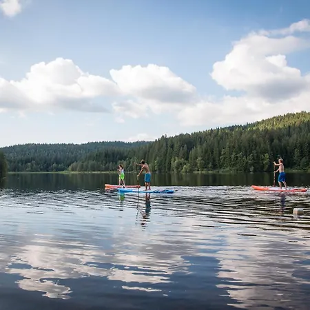 Vogelsang Apartament *