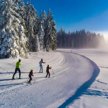 Vogelsang Apartament Sankt Märgen