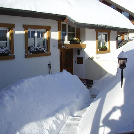 Vogelsang Apartament