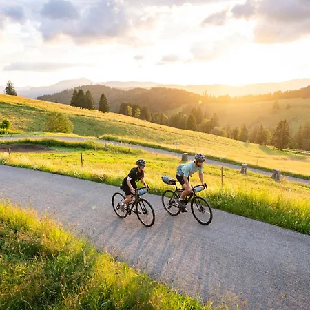 Vogelsang * Sankt Märgen