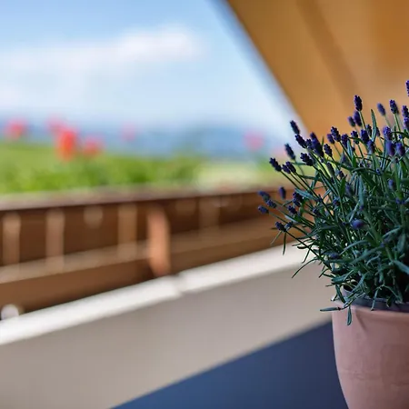 Apartament Vogelsang