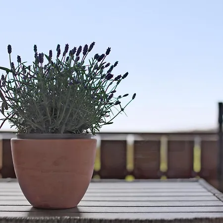 Apartament Vogelsang